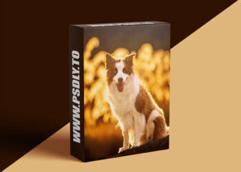 Unleashed Education - Unleashing Light on Location