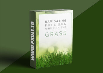 AwTeaches - Full Sun in Green Grass