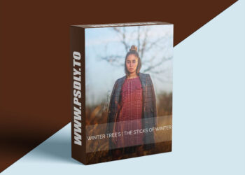 AwTeaches - Sticks of Winter