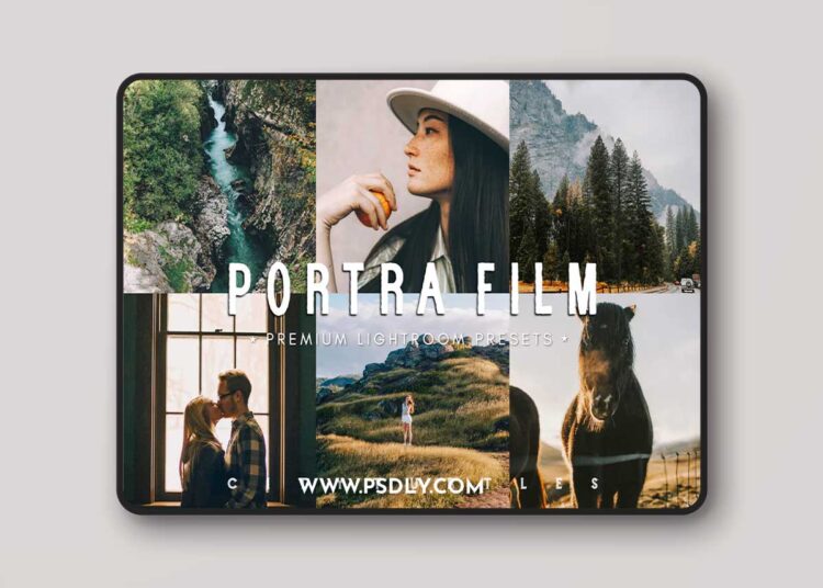 CityTurtles - Kodak Portra Film Lightroom Presets 1 CityTurtles - Kodak Portra Film Lightroom Presets