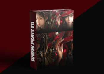 Coloso - Step-by-Step Face Coloring from Basic to Advanced