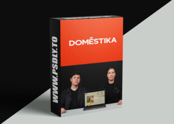 Domestika - Creating Innovative Web Designs
