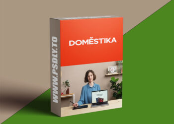 Domestika - Digital Accessibility as a Mindset