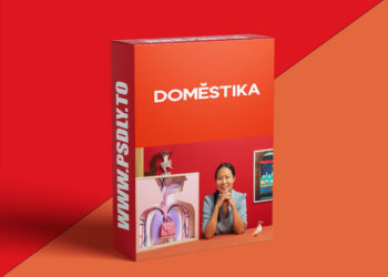 Domestika - Window Display Design