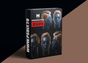 FlippedNormals - Introduction to XGen