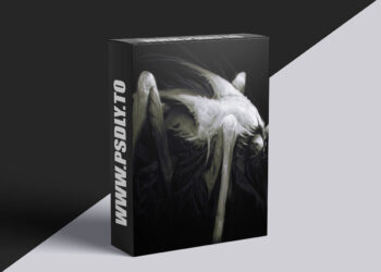 Gumroad - Anthony Jones Dynamic Lighting 2 - Simple Light, Epic Results