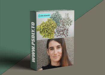 Houdini School HS-227: Visualizing Protein Data Bank Information