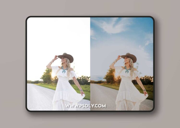 Lemon And Lace Presets - AI Lemon Twist 1 Lemon And Lace Presets - AI Lemon Twist