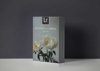 Polina Washington - Botanical Garden Presets Pack 2024