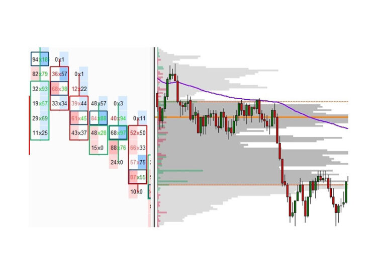 Price Action Volume Trader – Day Trading With Volume Profile & Orderflow 1 Price Action Volume Trader – Day Trading With Volume Profile & Orderflow