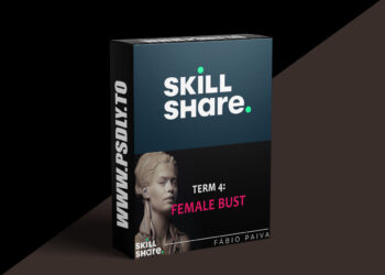 Term 4 - Sculpting the female bust