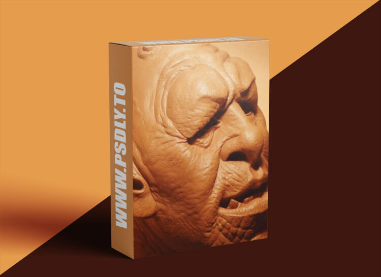 The Gnomon Workshop - Sculpture 3 1 The Gnomon Workshop - Sculpture 3