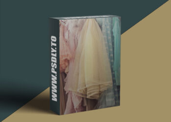 The Portrait System - Marketing Plan