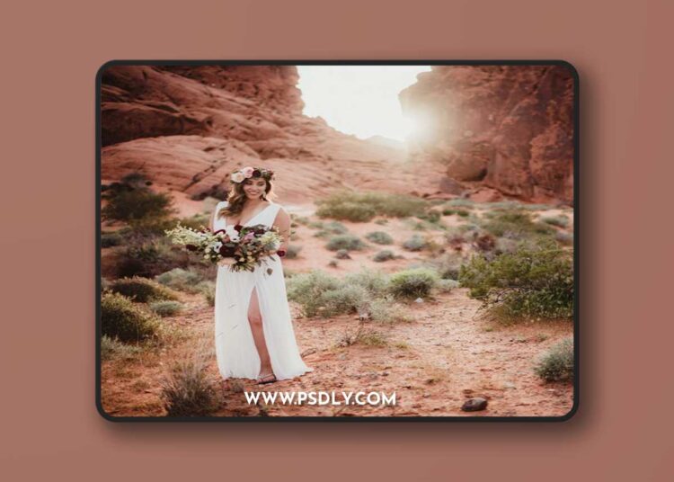 Twig & Olive - Harvest Matte 1 Twig & Olive - Harvest Matte