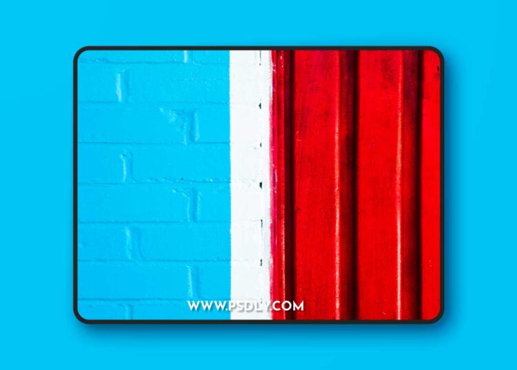 X-Equals - Complete Bundle 1 X-Equals - Complete Bundle