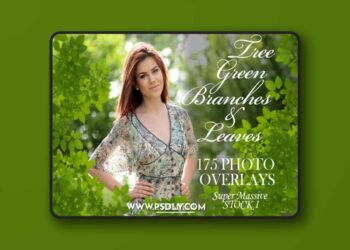 175 Green Tree Branches Overlays PNG 3012062