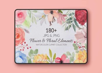 188 Flower and Floral Watercolor Set PNG 3752484
