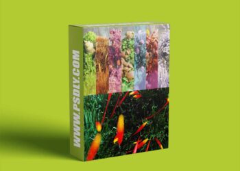 Blendermarket - Mossify