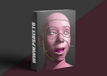 CGDive - Rigify Modular Face Rigging