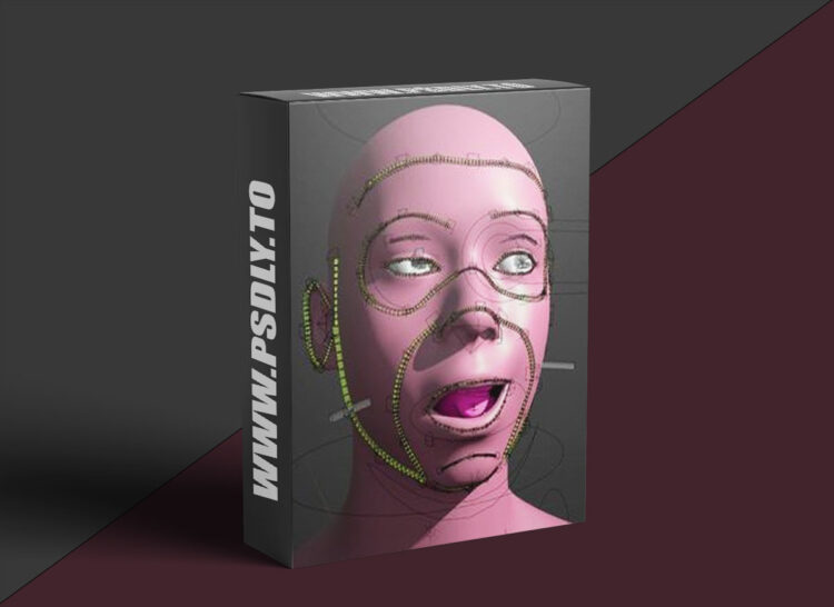 CGDive - Rigify Modular Face Rigging 1 CGDive - Rigify Modular Face Rigging