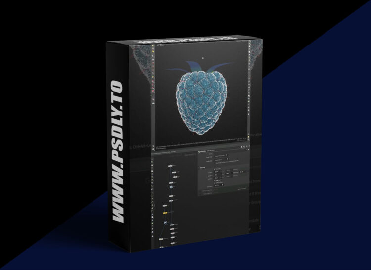 Cgside - How to create a raspberry 1 Cgside - How to create a raspberry