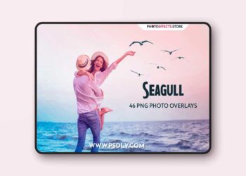 CreativeMarket - 46 Seagull Photo Overlays - 5224595