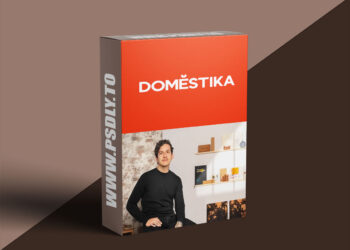 Domestika - Creative Artist's Diary: Define Your Visual Language