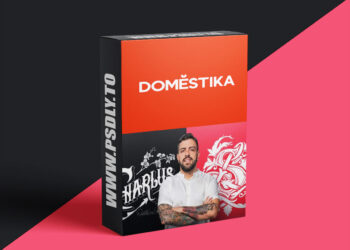 Domestika - Digital Lettering for Visual Identity