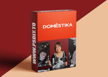 Domestika - India Ink Illustration with Japanese Influence