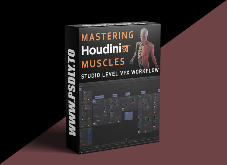 FlippedNormals - Mastering Houdini Muscles: A Studio Level VFX Workflow 1 FlippedNormals - Mastering Houdini Muscles: A Studio Level VFX Workflow