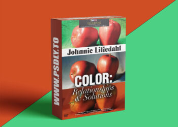 PaintTube - Johnnie Liliedahl - Color Solutions