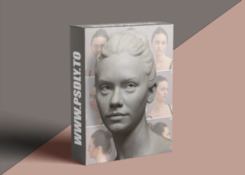 Sculpting Masterclass - Strong Foundation - Amelia Rowcroft