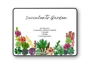 Succulents Bundle PNG + Patterns 1393