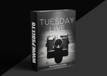 The Portrait System - Holiday Marketing Campaigns: A Discussion with Cat Ford-Coates and Tammy Zurak