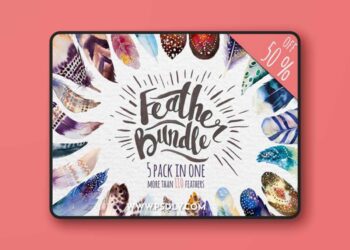 Watercolor Feathers Bundle 582779