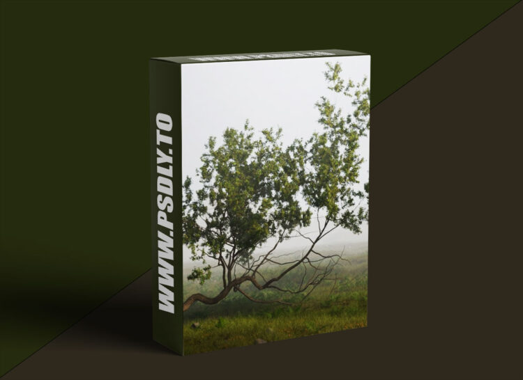 Cgside - Environment Technical tips and tricks - Full project 1 Cgside - Environment Technical tips and tricks - Full project