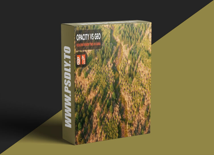 Cgside - Opacity maps vs Geo in Karma 1 Cgside - Opacity maps vs Geo in Karma