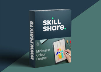 Create Stunning Brand Illustrations in Procreate