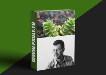 CreativeLive - Using the Nikon Autofocus System