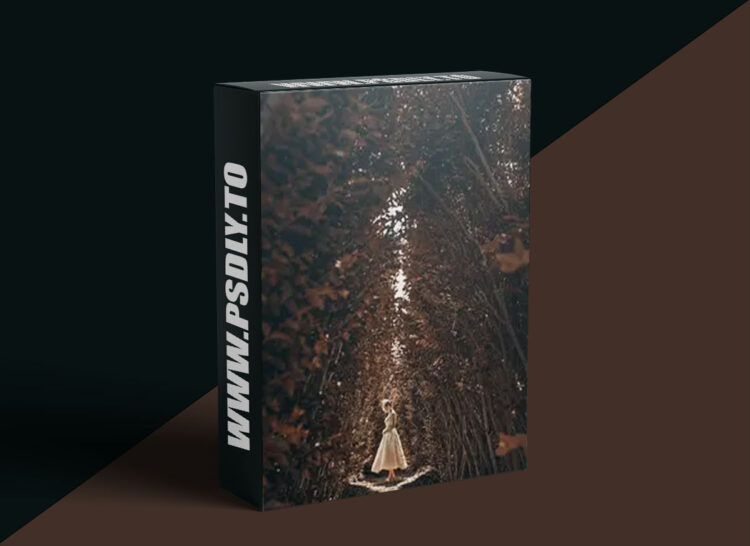 CreativeLive - Wedding Photography Starter Kit 1 CreativeLive - Wedding Photography Starter Kit