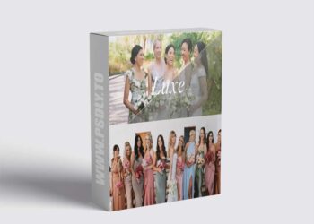 Gamut - The Luxe LUT Collection