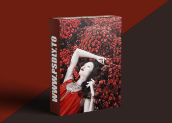 KelbyOne - The Art of Digital Photography: The Inspirational Series with Lindsay Adler