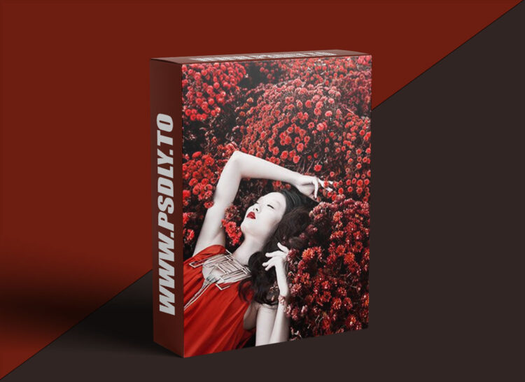 KelbyOne - The Art of Digital Photography: The Inspirational Series with Lindsay Adler 1 KelbyOne - The Art of Digital Photography: The Inspirational Series with Lindsay Adler