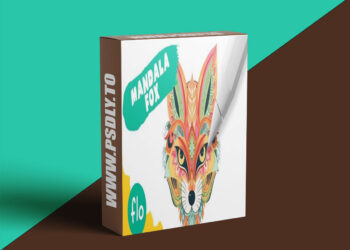 Procreate Tutorial Mandala Fox