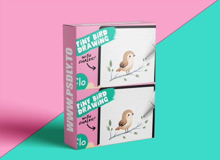 Art with Flo - Tiny Bird 1 Art with Flo - Tiny Bird