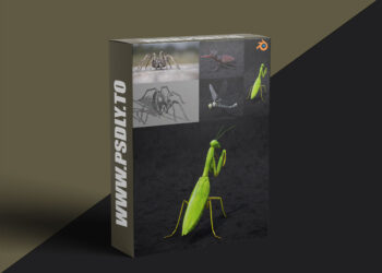Blendermarket – Blender 2.81 - Insect And Spiders Creation Full Course