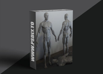 CGBump - Zbrush Senior Anatomy (Male)