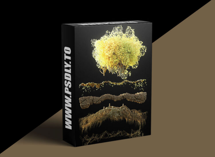 Canopy - Advanced Geometry Nodes for Blender 3.3+ 1 Canopy - Advanced Geometry Nodes for Blender 3.3+