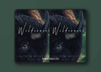 Dan Lior - Wildreness Cinematic Pack