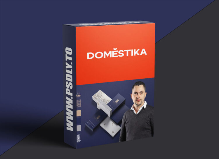 Domestika - Creation of a Corporate Identity Manual 1 Domestika - Creation of a Corporate Identity Manual